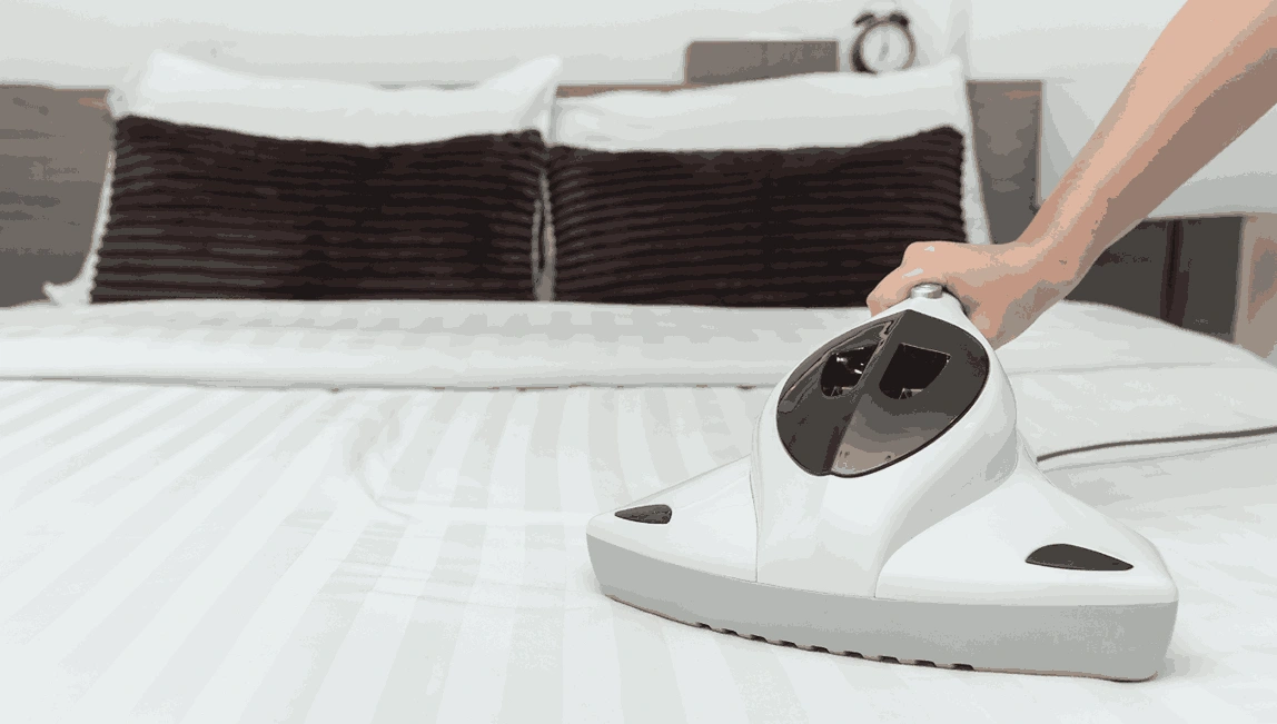 Professional Mattress Cleaning Seabrook